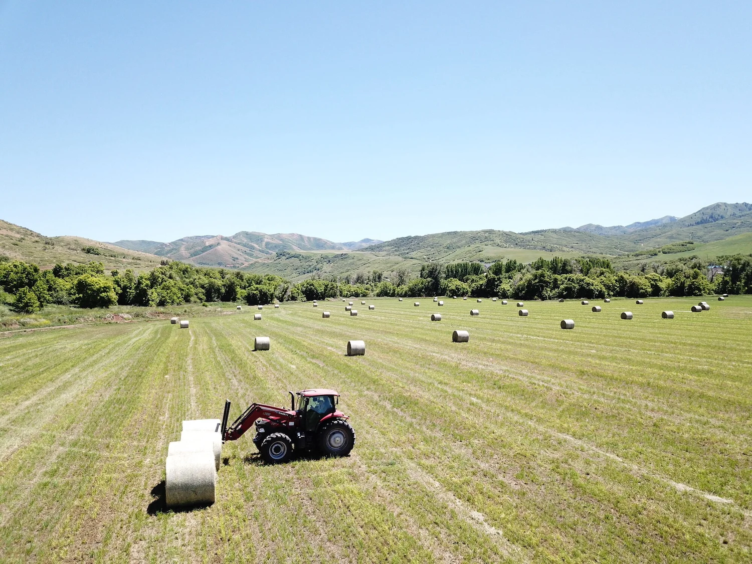 Hay field with round bales and a tractor beneath mountain ridges at Warrior Rizen Ranch.